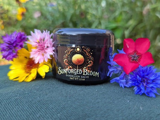 Sunforged Bloom Dandelion Salve